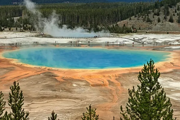 Grand Prismatic Spring seen from above, with a turquoise centre surrounded by orange microbial mats.